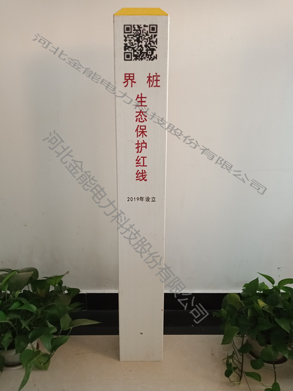 蜜桃国精产品二三三区视频