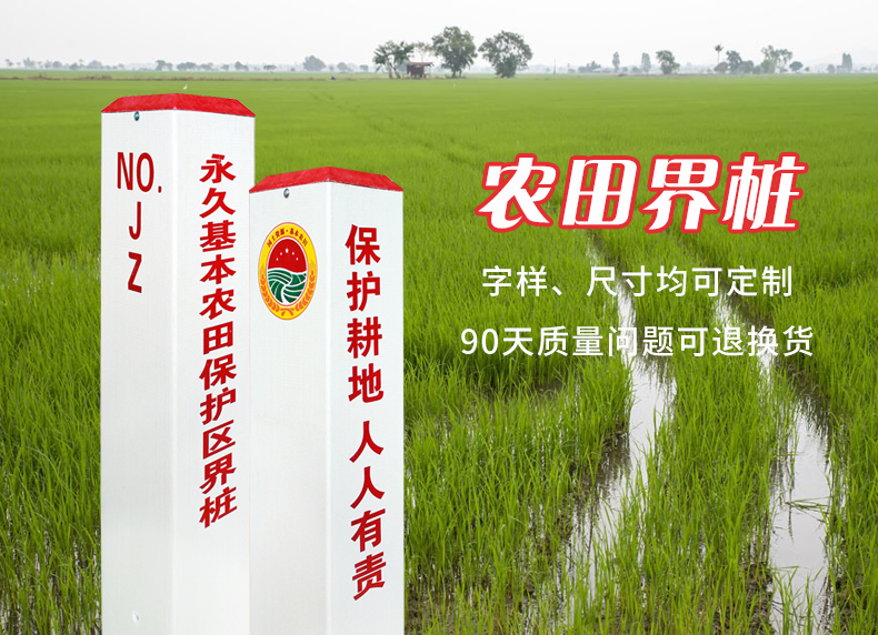 蜜桃国精产品二三三区视频