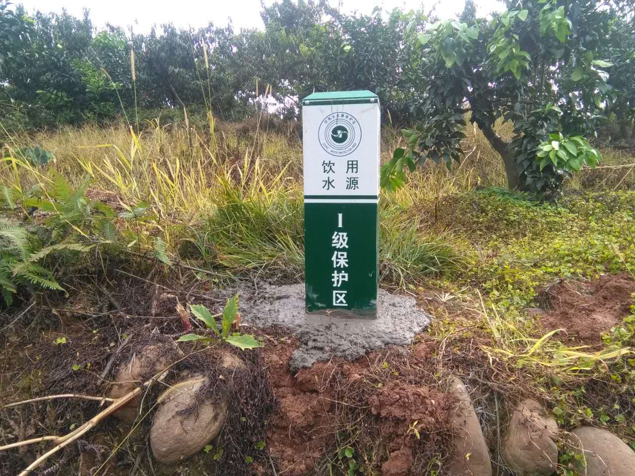 蜜桃国精产品二三三区视频