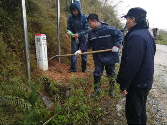 蜜桃国精产品二三三区视频