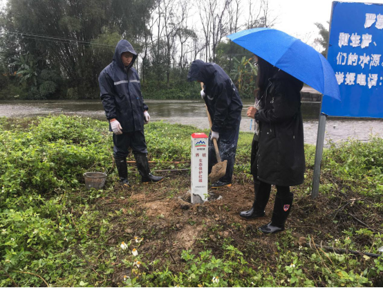 蜜桃国精产品二三三区视频