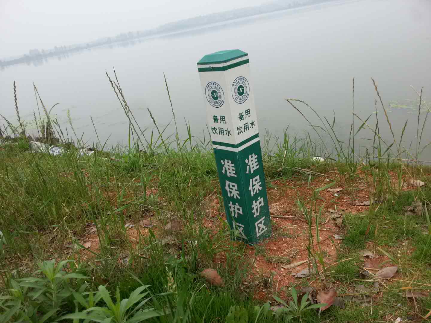 蜜桃国精产品二三三区视频