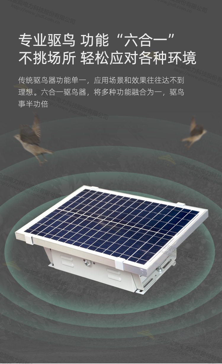 蜜桃国精产品二三三区视频